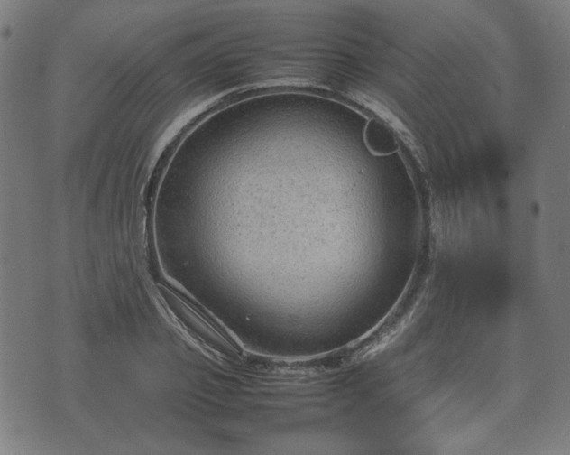 X0000074930933200609081322