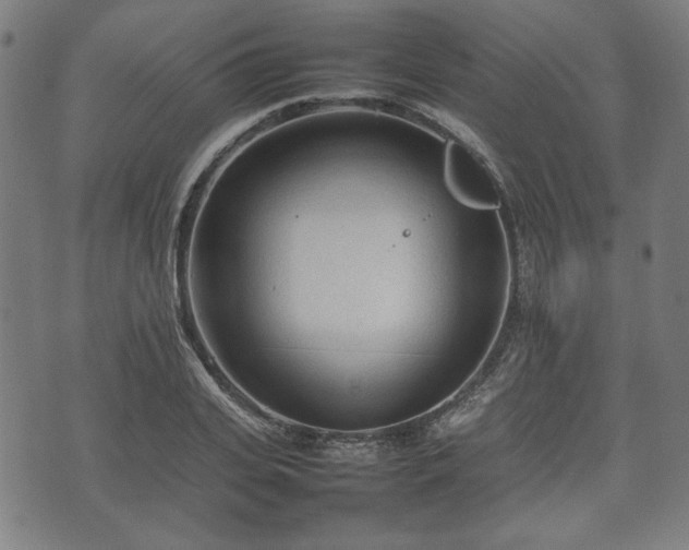 X0000074930935200609081322