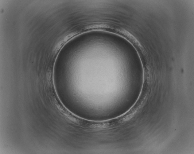 X0000074930937200609081322