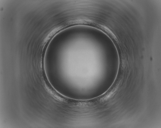 X0000074930938200609081322