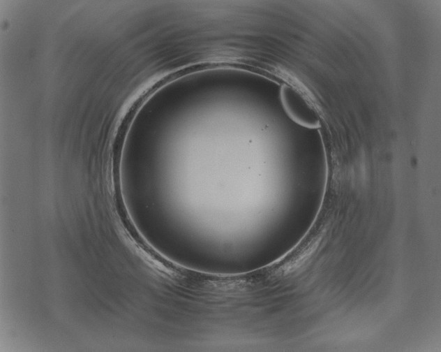 X0000074930939200609081322