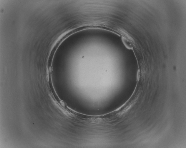 X0000074930940200609081322