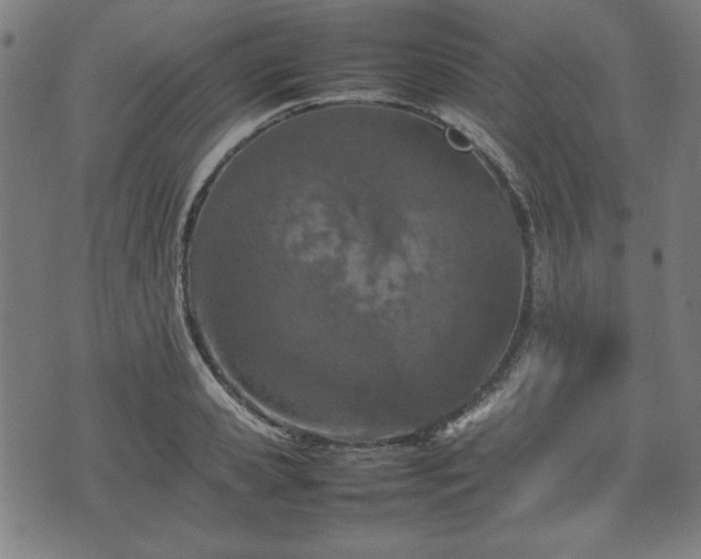 X0000074930941200609081322