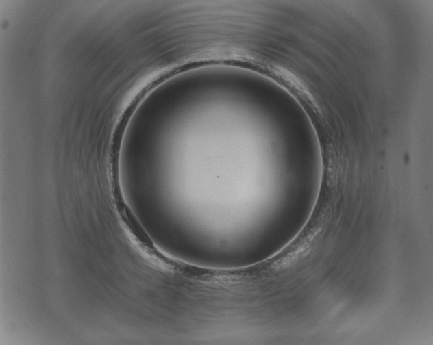 X0000074930942200609081322