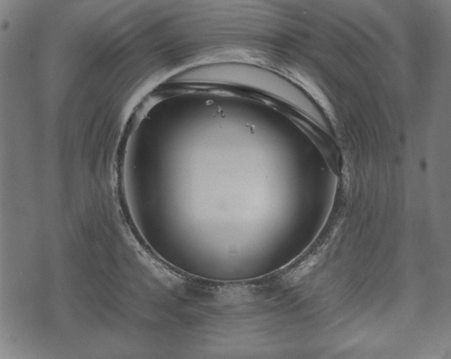 X0000074930944200609081322