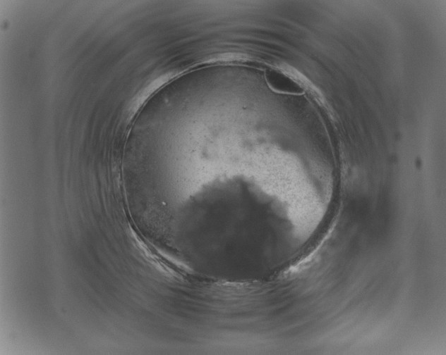 X0000074930945200609081322