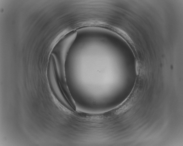 X0000074930946200609081322