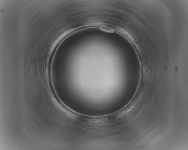 X0000074930947200609081322