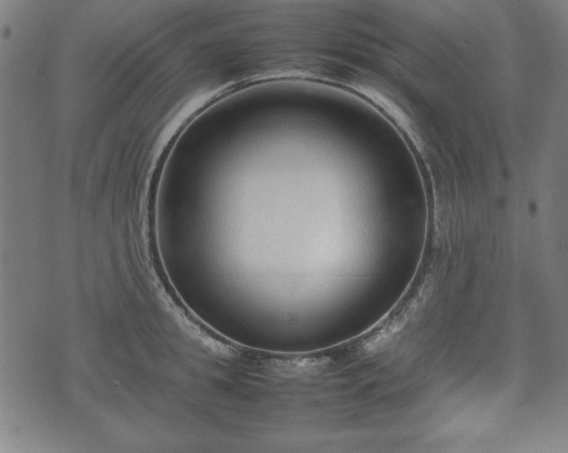 X0000074930949200609081322