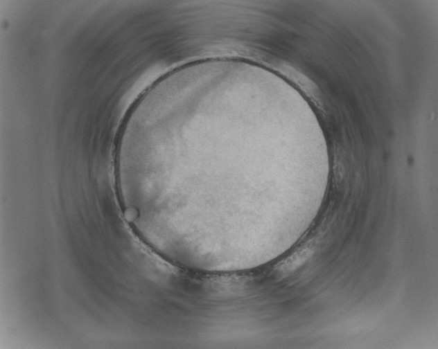 X0000074930950200609081322