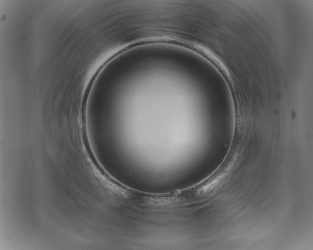 X0000074930951200609081322