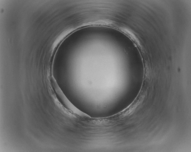 X0000074930952200609081322