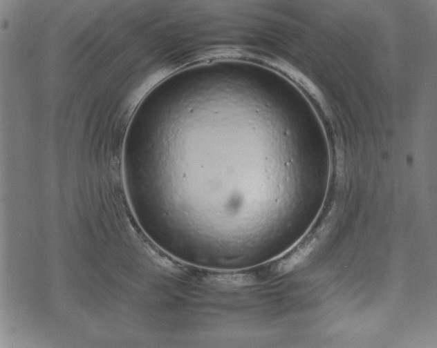 X0000074930953200609081322