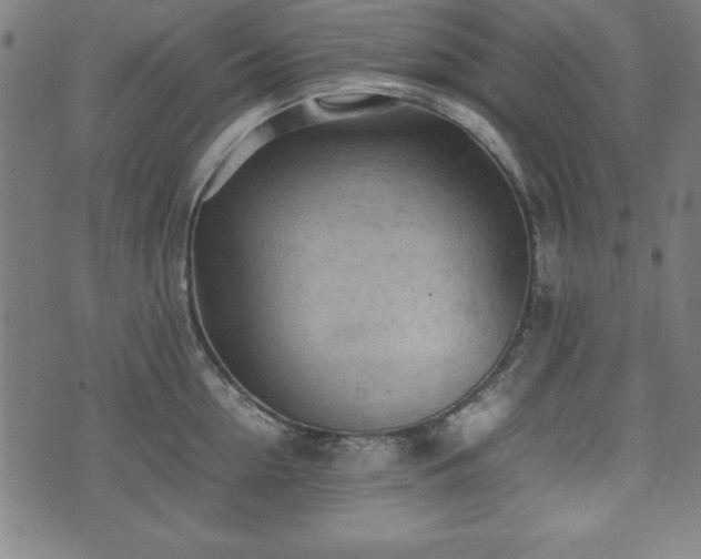 X0000074930954200609081322