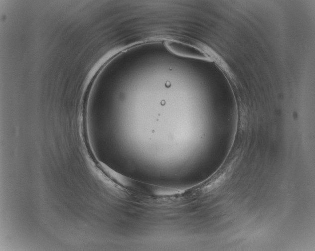 X0000074930955200609081322