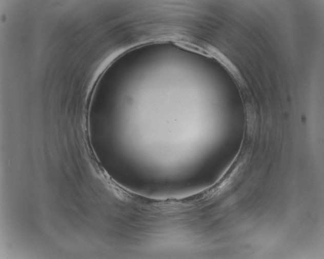 X0000074930956200609081322