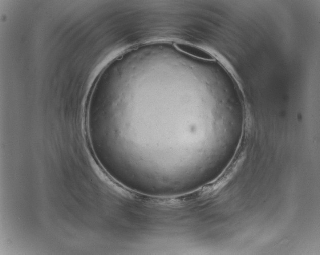 X0000074930957200609081322