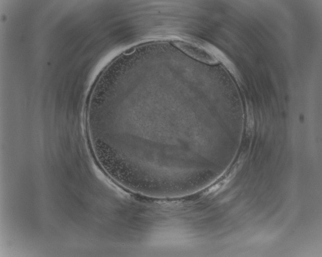 X0000074930958200609081322