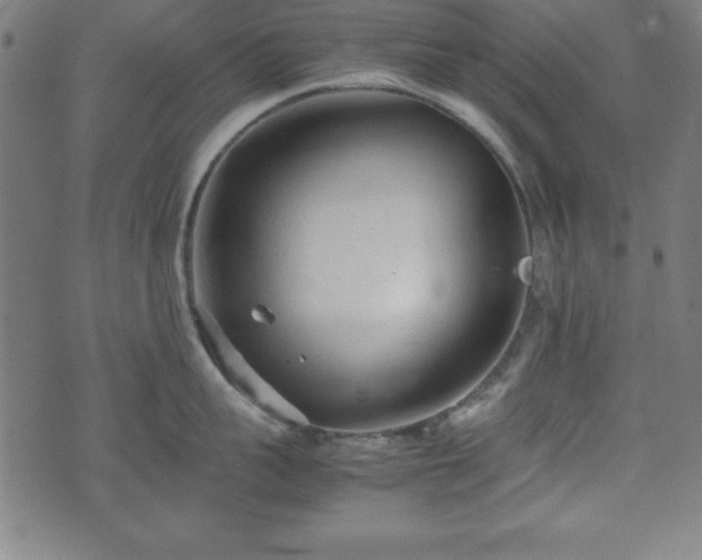 X0000074930959200609081322