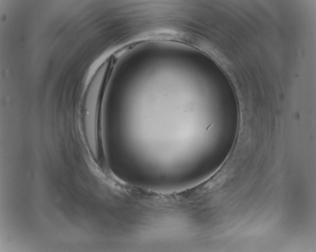 X0000074930960200609081322