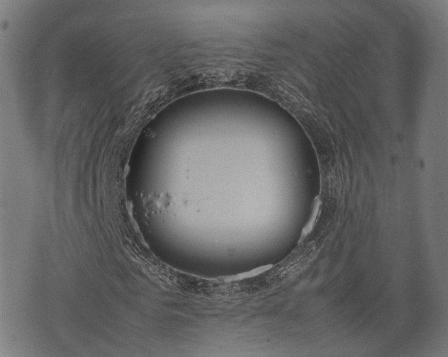 X0000074930961200609081322