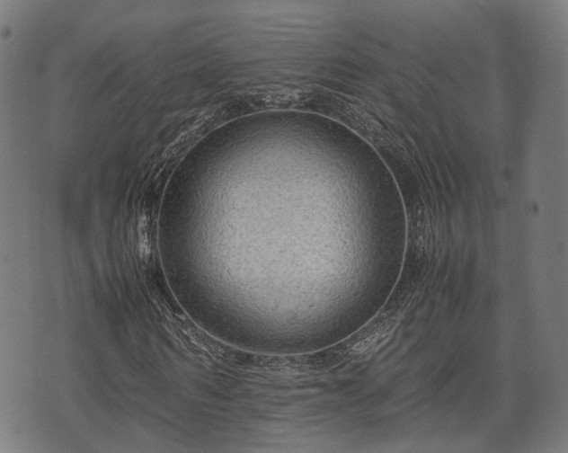 X0000074930962200609081322