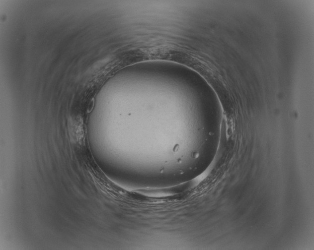 X0000074930963200609081322