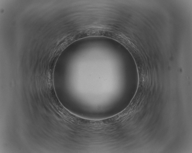 X0000074930964200609081322