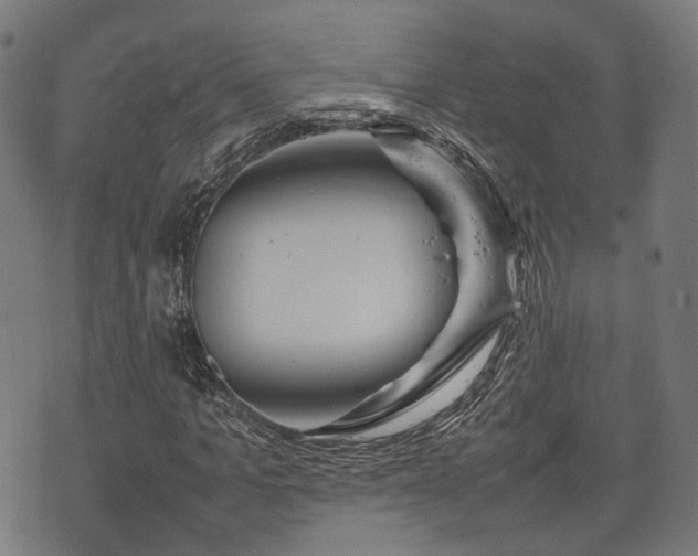 X0000074930965200609081322