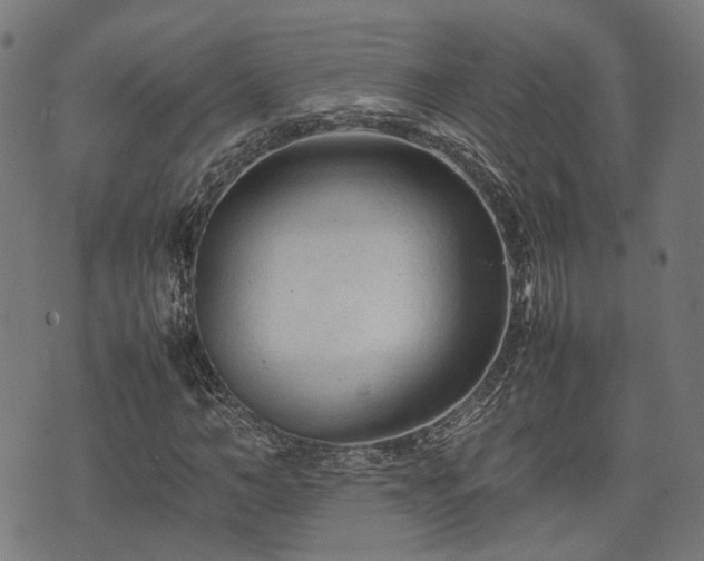 X0000074930966200609081322