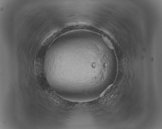 X0000074930967200609081322