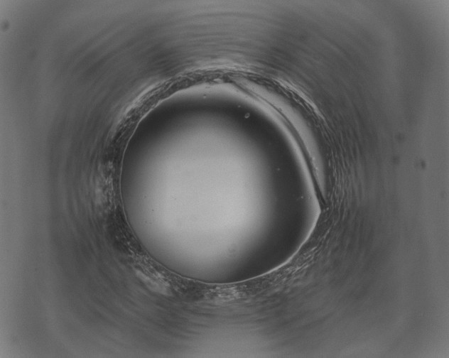 X0000074930968200609081322