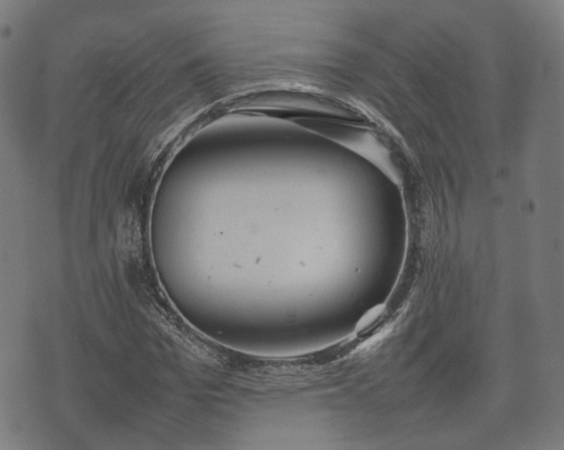 X0000074930969200609081322