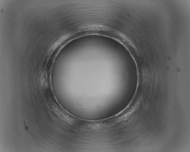 X0000074930970200609081322