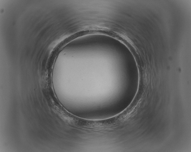 X0000074930971200609081322