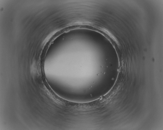 X0000074930972200609081321