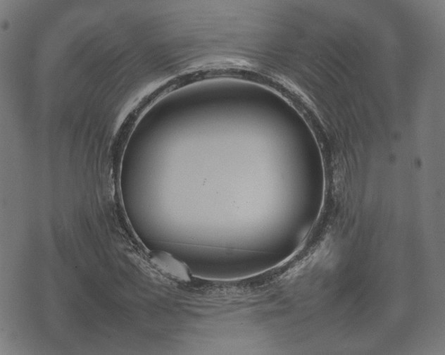 X0000074930973200609081321