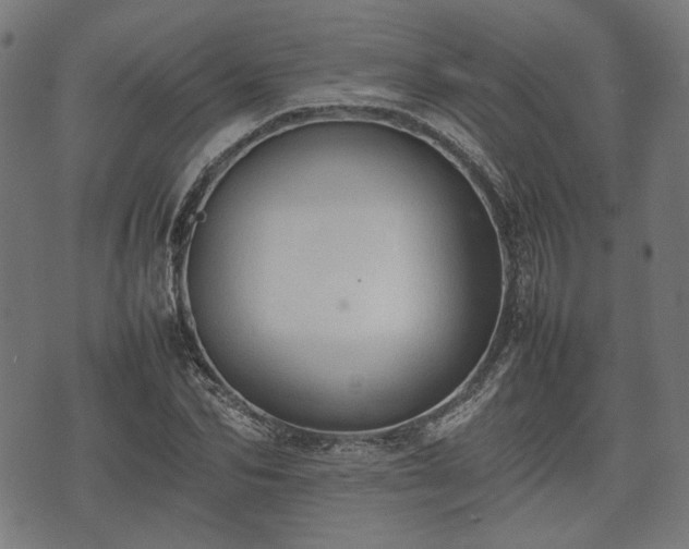 X0000074930974200609081321