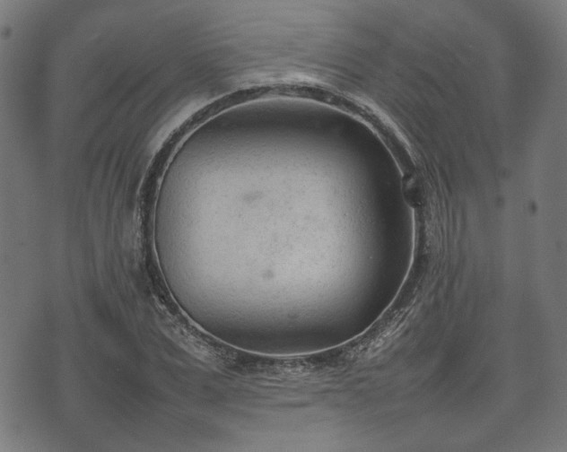 X0000074930975200609081321