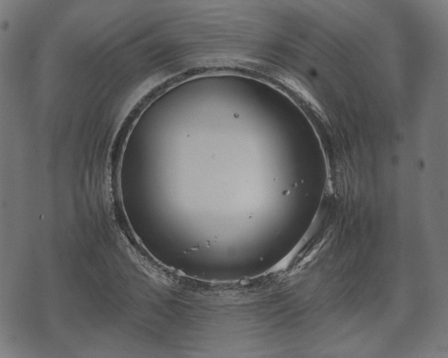 X0000074930976200609081321