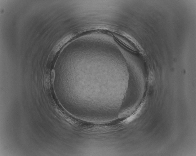 X0000074930977200609081321