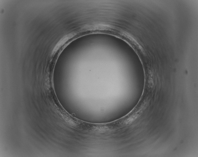 X0000074930978200609081321