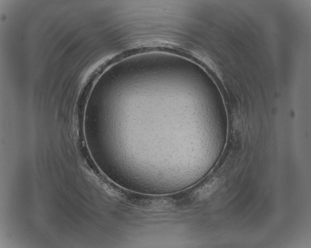 X0000074930979200609081321