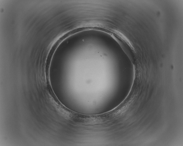 X0000074930980200609081321