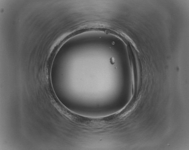 X0000074930981200609081321