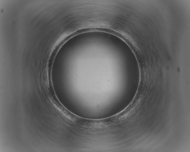 X0000074930982200609081321