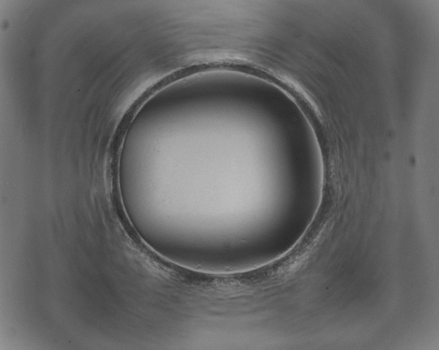 X0000074930983200609081321