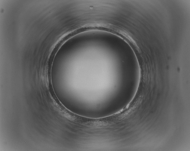 X0000074930984200609081321