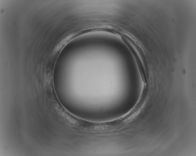 X0000074930985200609081321