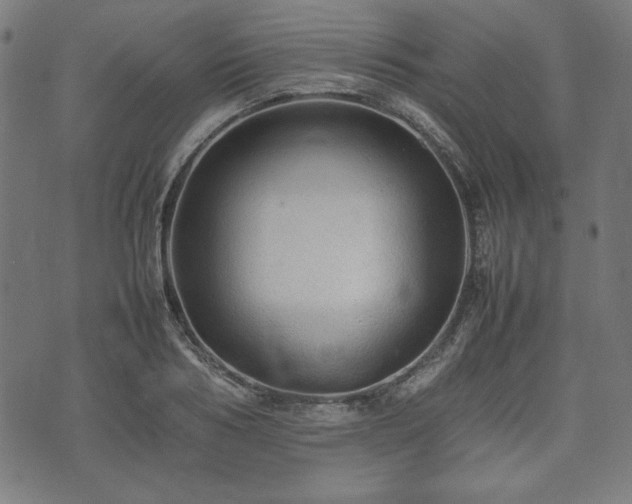 X0000074930986200609081321